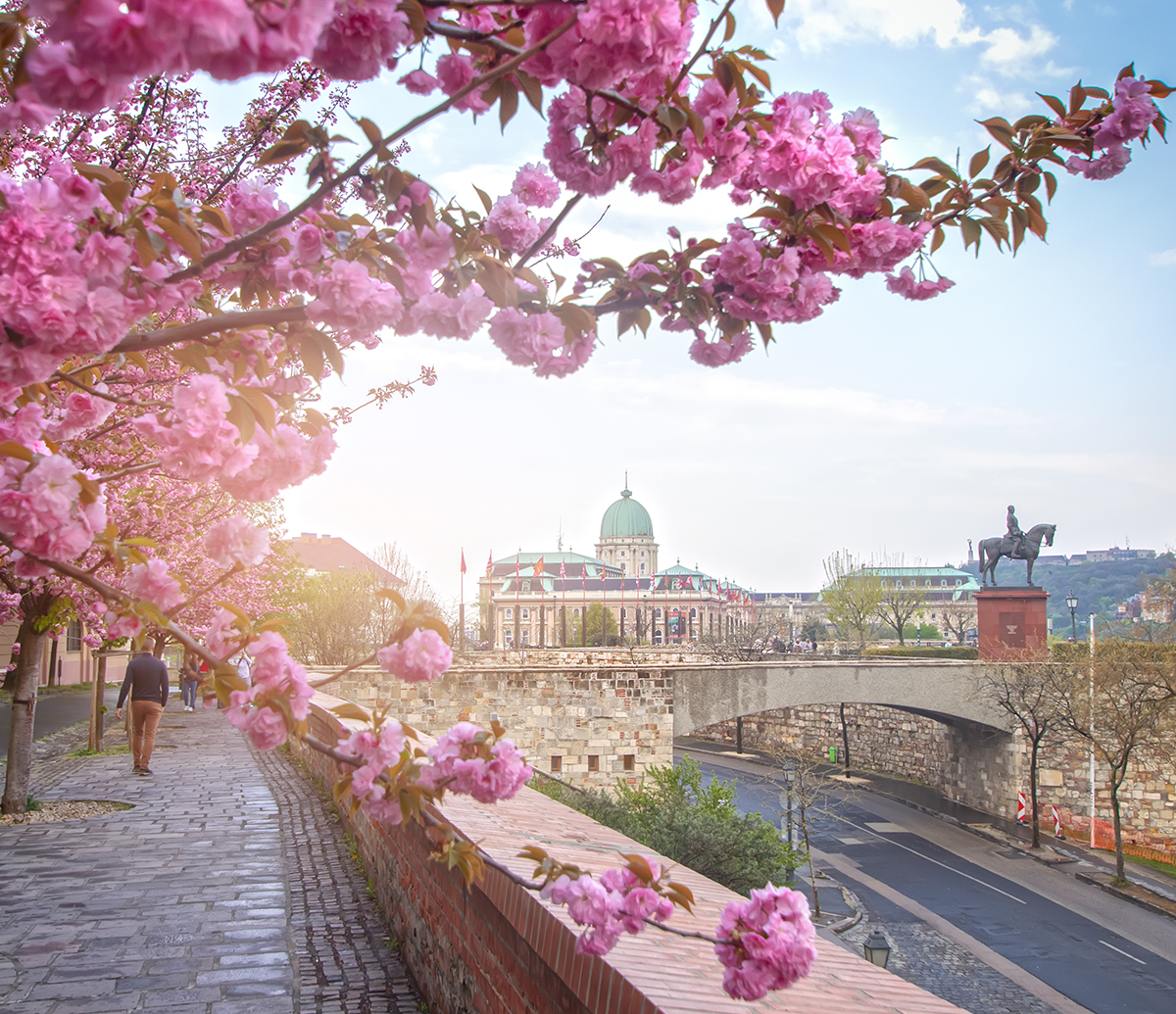 Template Header_1200x1035_Spring_Budapest
